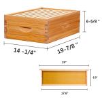 Medium Langstroth Beehive Box with Frames & Wax