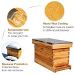 5-Frame Nuc Beehive Box Kit with Metal Roof