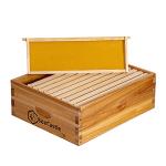 BeeCastle 10 Frame Medium Langstroth Bee Hive Box