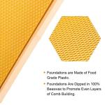 Medium Langstroth Beehive Box with Frames & Wax