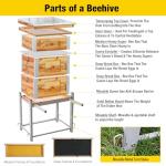 Aivituvin 10 Frame Beeswax Bee Hive Kit