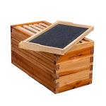 5-Frame Nuc Beehive Box Kit with Metal Roof