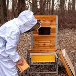 Aivituvin 10 Frame Beeswax Bee Hive Kit