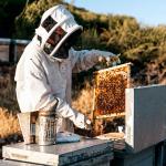 Unisex Beekeeping Suit with Glove and Veil