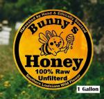 1 Gallon Raw Unfiltered Wildflower Honey