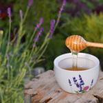 12 LB Jug of Raw & Unfiltered Honey