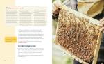 Beginner's guide: Raising your first bee colonies
