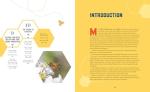 Beginner's guide: Raising your first bee colonies