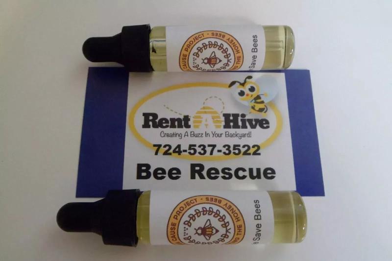 Honeybee Swarm Capture