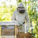 Stainless Steel Bee Hive Smoker by Blisstime