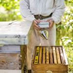 Stainless Steel Bee Hive Smoker by Blisstime