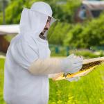 Beekeeping Protective Jacket and Glove Set