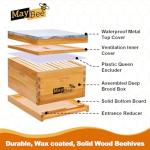 MayBee 10-Frame Beehive Starter Kit with Beekeeping Veil