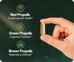 Premium Brazilian Bee Propolis | 60 Veggie Capsules