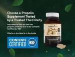 Premium Brazilian Bee Propolis | 60 Veggie Capsules