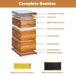 10-Frame Bee Hive Kit with Acrylic Windows