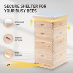Langstroth Beehive Kit with 40 Frames