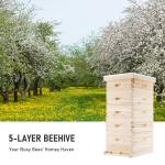 5 Layer Langstroth Beehive Starter Kit