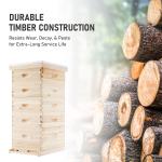 5 Layer Langstroth Beehive Starter Kit