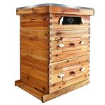 3 Layer Cedarwood Beekeeping Hive Kit