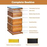 3 Layer Cedarwood Beekeeping Hive Kit