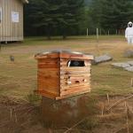 2-Layer Cedarwood Beekeeping Starter Hive Kit