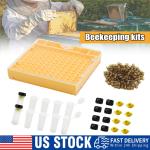 Beekeeping Queen Rearing Cup Kit for Beekeepers
