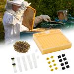Beekeeping Queen Rearing Cup Kit for Beekeepers
