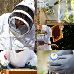 30 PCS Beekeeping Starter Kit and Tools