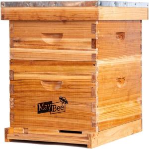 10 Frame Beehive Starter Kit for Beginners