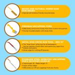 Beginner Beekeeping Supplies Kit, 11 Essential Tools