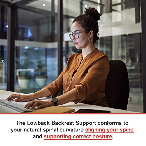Portable Lowback Backrest Support with Lumbar Pillow