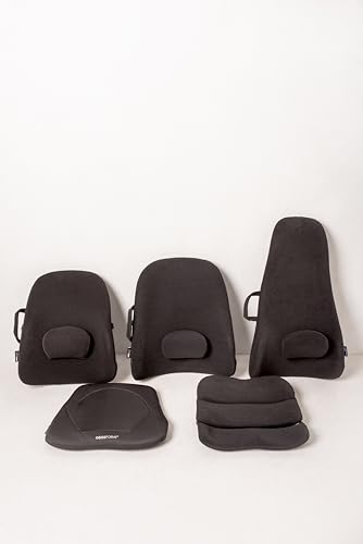 Portable Lowback Backrest Support with Lumbar Pillow