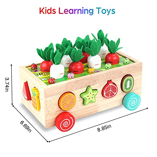 Montessori Wooden Educational Shape Sorting Toys for Toddlers