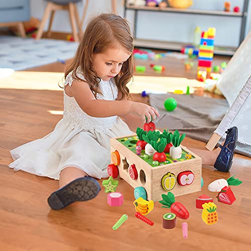 Montessori Wooden Educational Shape Sorting Toys for Toddlers