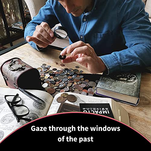 VIP Treasure Chest Coin Collection - Rare Coins Set