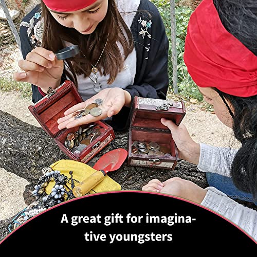 VIP Treasure Chest Coin Collection - Rare Coins Set