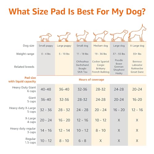 VIP Dog Training Pads - 5-Layer, 22x22 inches, 100ct