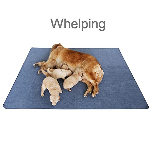 peepeego Extra Large Non-Slip Washable Dog Pads