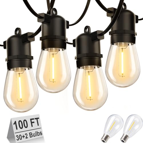 VIP Outdoor String Lights with LED Edison Bulb