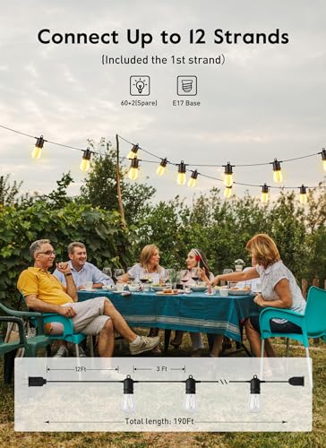 VIP Outdoor String Lights with LED Edison Bulb