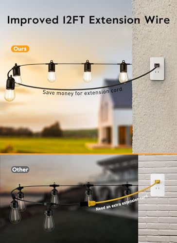 VIP Outdoor String Lights with LED Edison Bulb