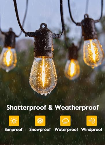 VIP Outdoor String Lights with LED Edison Bulb