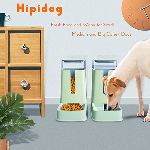 Automatic Pet Feeder & Waterer Set for Small/Medium Pets