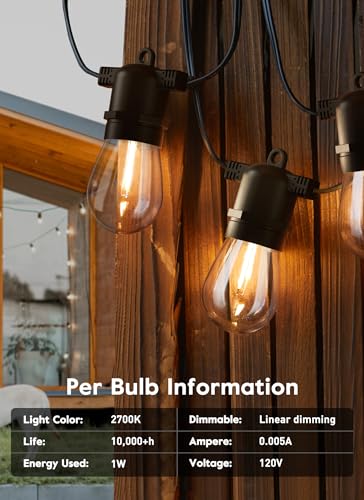 VIP Outdoor String Lights with LED Edison Bulb