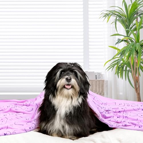 Luxurious Microfiber Pet Towels for Grooming and Bathing