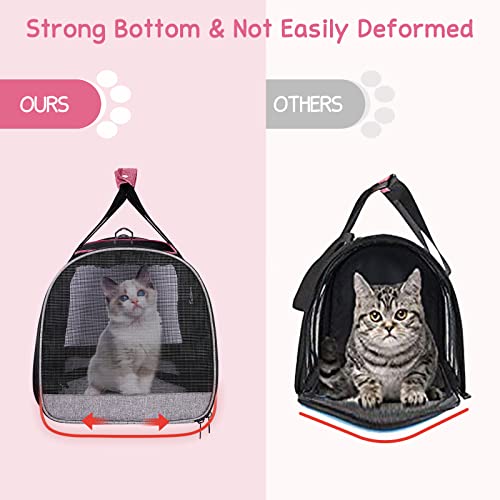 Premium Cat Carrier for Medium Cats Under 25 lbs