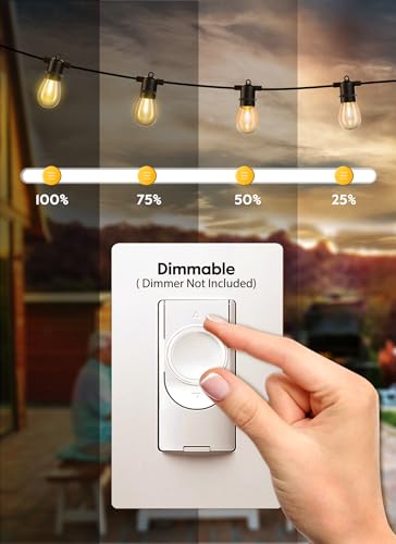 VIP Outdoor String Lights with LED Edison Bulb