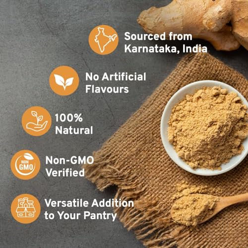 Indian Ginger Powder, 14oz in Resealable Pouch