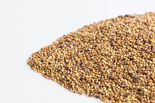 Mumm's Sandwich Booster Sprouting Seeds | 250g Organic & Non-GMO